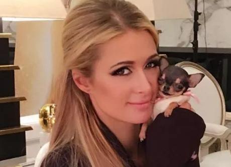 开云电竞app下载安装