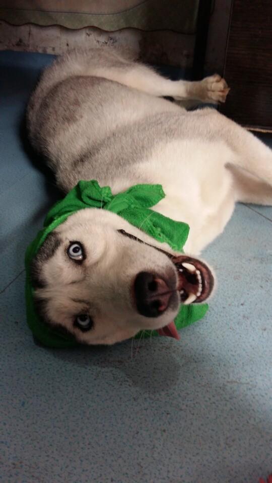 雷军手机屏保曝光:能不管的事情一定不管【开云电竞官网】(图1) 开云电竞