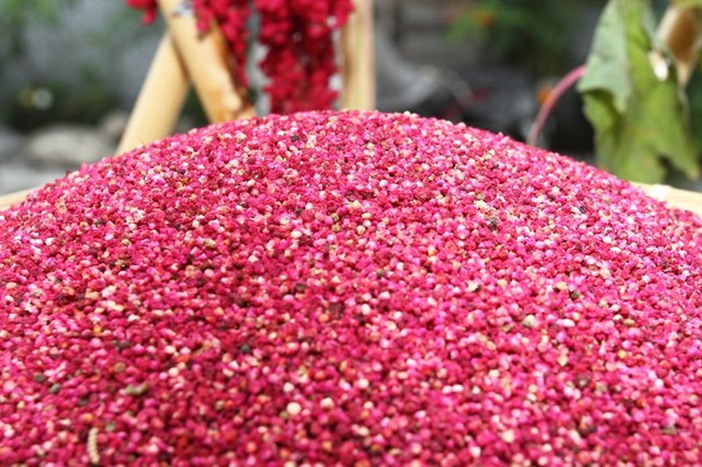 ‘开云电竞’索元生物治疗精神分裂症创新药最新临床试验取得关键进展(图3) 开云电竞官网