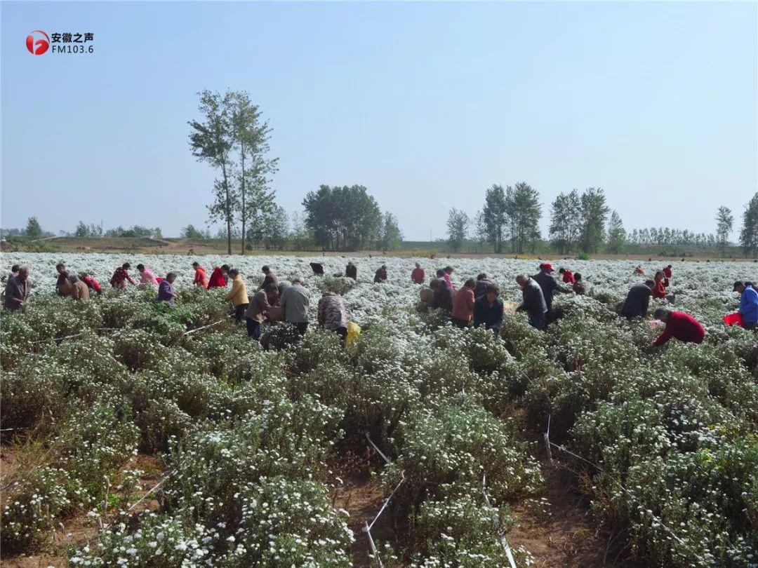 开云电竞官网_30日德甲推荐:杜塞尔多夫VS美因茨(图1) 开云电竞