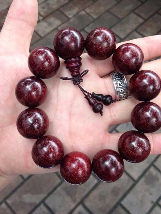 拜仁计划同沙奇里续约 美国国脚表态愿留队竞争-开云电竞(图1) 开云电竞官网