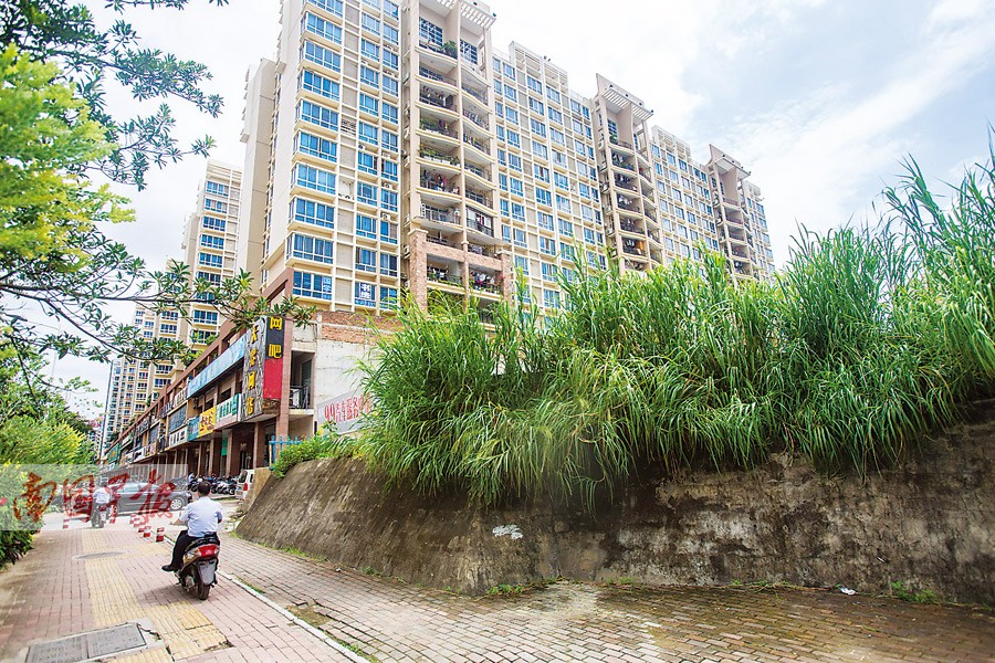 开云电竞官网|勒夫支持萨内加盟拜仁:对德甲和德国队都是好事(图1) 开云电竞app下载安装