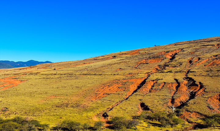 德国杯:拜仁1-0战胜狼堡晋级 科斯塔破门建功‘开云电竞app下载安装’(图1) 开云电竞