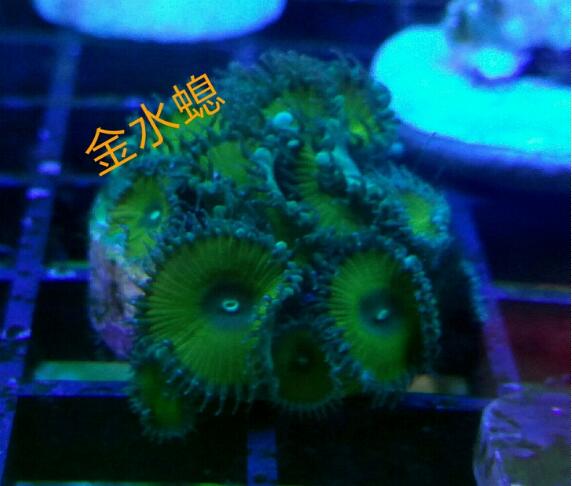 ‘开云电竞app下载安装’
官宣!央视恢复直播NBA!停播1年为何突然解禁?央视官方回应(图1) 开云电竞