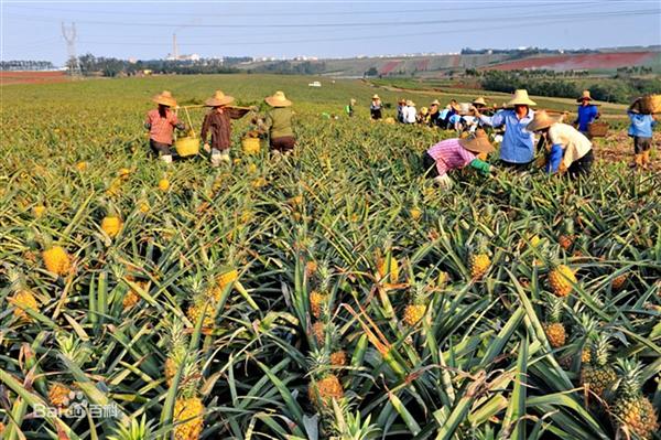 3D打印形状复杂且变形可控的水凝胶结构-开云电竞app下载安装(图1) 开云电竞