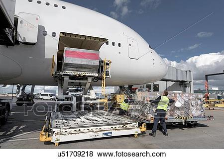 开云电竞app下载安装